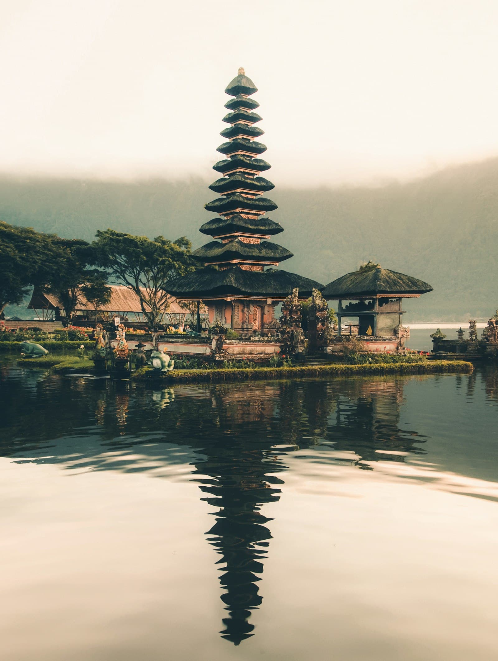 Rice terraces and jungle above the coast in Bali